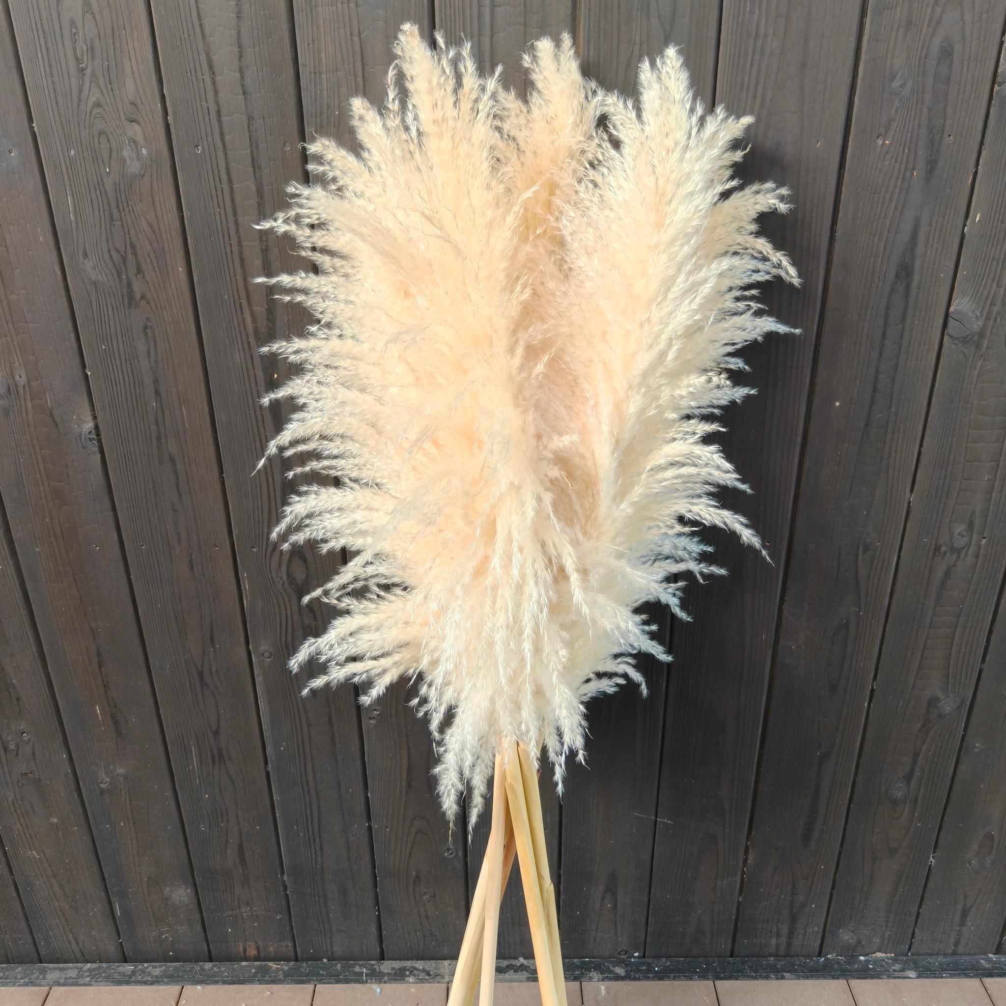 今季!秋冬カラーのパンパスグラス 開店祝い 花 ドライフラワー インテリア ウェディング 大人クリスマス2025 | 6枚目